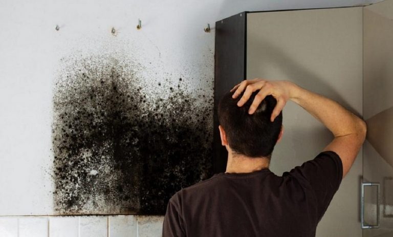 mould-control-how-to-get-mould-out-of-your-flat