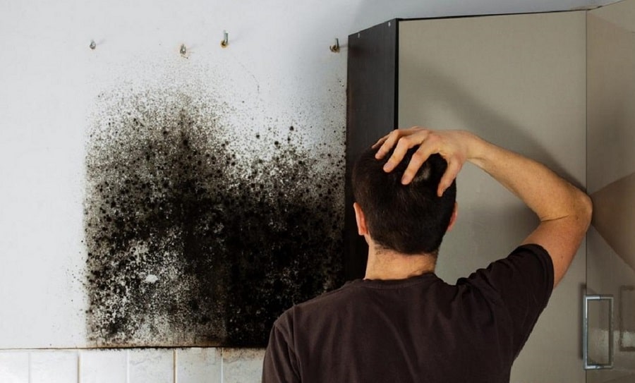 How to get mould out of your flat