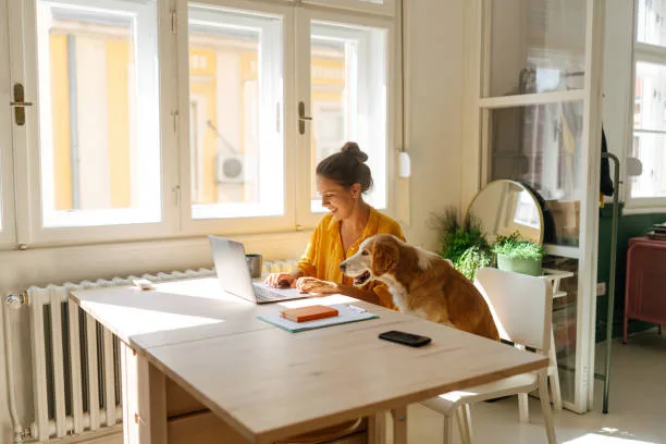 bureau à domicile